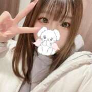 ヒメ日記 2025/12/04 15:04 投稿 みその 妖精（ようせい）