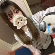 ヒメ日記 2026/02/20 17:15 投稿 みその 妖精（ようせい）