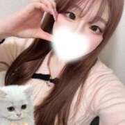 ヒメ日記 2026/02/25 16:05 投稿 みその 妖精（ようせい）