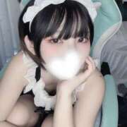 ヒメ日記 2025/07/10 11:02 投稿 みんと 妖精（ようせい）