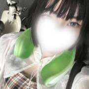 ヒメ日記 2025/07/22 09:29 投稿 みんと 妖精（ようせい）