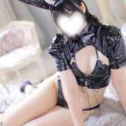 ヒメ日記 2025/09/11 11:04 投稿 みんと 妖精（ようせい）