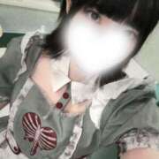 ヒメ日記 2025/10/15 11:25 投稿 みんと 妖精（ようせい）