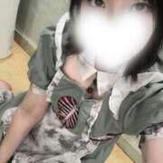 ヒメ日記 2025/10/27 11:04 投稿 みんと 妖精（ようせい）