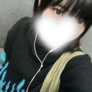 ヒメ日記 2025/11/08 11:06 投稿 みんと 妖精（ようせい）