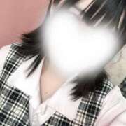 ヒメ日記 2025/12/03 11:25 投稿 みんと 妖精（ようせい）