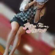 ヒメ日記 2025/06/18 09:25 投稿 あおい 妖精（ようせい）