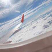 ヒメ日記 2025/07/24 18:29 投稿 あおい 妖精（ようせい）