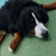 ヒメ日記 2025/10/14 16:29 投稿 あおい 妖精（ようせい）