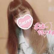 ヒメ日記 2026/01/14 08:29 投稿 あおい 妖精（ようせい）