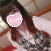 ヒメ日記 2026/03/03 08:12 投稿 あおい 妖精（ようせい）