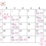 ヒメ日記 2026/03/31 18:01 投稿 りりか あふたーすくーる本店