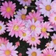 ヒメ日記 2025/11/23 17:30 投稿 さや 京都ホテヘル倶楽部