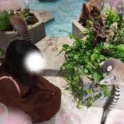 ヒメ日記 2026/02/12 12:35 投稿 いずみ ごほうびSPA神戸店