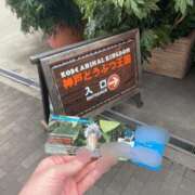 ヒメ日記 2026/06/14 12:14 投稿 いずみ ごほうびSPA神戸店