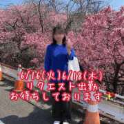 ヒメ日記 2026/06/16 12:14 投稿 いずみ ごほうびSPA神戸店