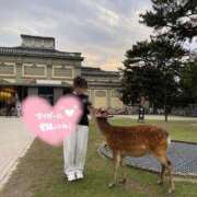 ヒメ日記 2026/09/12 21:24 投稿 いずみ ごほうびSPA神戸店