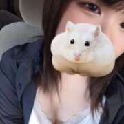 ヒメ日記 2025/08/02 21:53 投稿 あき Secret　select