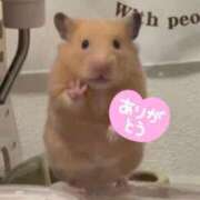 ヒメ日記 2025/09/12 03:23 投稿 あき Secret　select