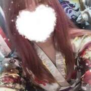 ヒメ日記 2025/07/26 21:21 投稿 はる 花影（かえい）