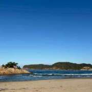 はる 土曜日🙌🙌💭🥺💕 花影（かえい）