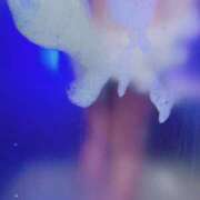 星蘭レナ らぶ🙋‍♀️ ウルトラセレクション