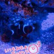 ヒメ日記 2025/06/20 08:43 投稿 あやな 川越ぷよステーション