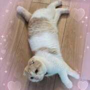 ヒメ日記 2025/08/12 01:23 投稿 あやな 川越ぷよステーション