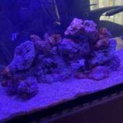 ヒメ日記 2025/06/18 18:07 投稿 あやな ぷよステーション大宮店