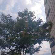 ヒメ日記 2025/06/27 17:19 投稿 葵【あおい】 人妻日和(久喜)