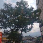 ヒメ日記 2025/07/01 19:11 投稿 葵【あおい】 人妻日和(久喜)