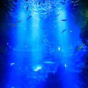 ヒメ日記 2025/07/24 18:29 投稿 葵【あおい】 人妻日和(久喜)