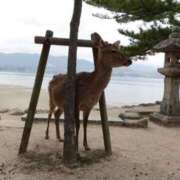ヒメ日記 2025/08/06 19:13 投稿 蓮見 もも 東京貴楼館