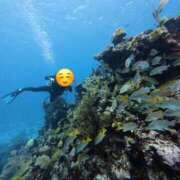 蓮見 もも すべてを解放できる場所 東京貴楼館