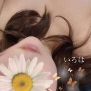 ヒメ日記 2025/07/03 16:23 投稿 いろは若奥 未熟な若奥