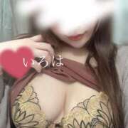 ヒメ日記 2025/10/01 12:23 投稿 いろは若奥 未熟な若奥