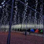 すず おぱ 可憐な妻たち 高崎店