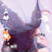 ヒメ日記 2025/06/25 12:07 投稿 川久保 萌花 人妻セレブ宮殿