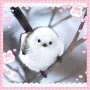 ヒメ日記 2025/07/03 23:07 投稿 川久保 萌花 人妻セレブ宮殿