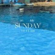 ヒメ日記 2025/07/12 08:50 投稿 川久保 萌花 人妻セレブ宮殿