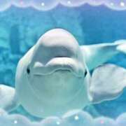 ヒメ日記 2025/07/18 07:00 投稿 川久保 萌花 人妻セレブ宮殿