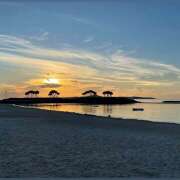 ヒメ日記 2025/09/04 11:29 投稿 りんか non-non 神田(ノンノン神田)