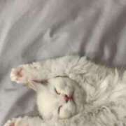 ふうか 3度目の正直🫣 luxury spa 風雅