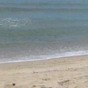 ヒメ日記 2025/06/20 13:21 投稿 ひなこ 卒業したて。