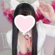 ヒメ日記 2026/02/17 15:02 投稿 いずみ♡マットOK 密着アロマにゃんにゃんSPA