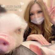 ヒメ日記 2025/10/24 20:07 投稿 ももあ クラブレア南大阪