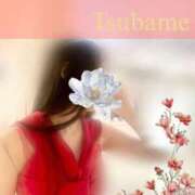 ヒメ日記 2025/11/11 06:22 投稿 水無月　つばめ アムアージュ