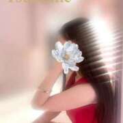 ヒメ日記 2025/11/26 06:52 投稿 水無月　つばめ アムアージュ