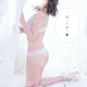 ☆しろ☆ おはしろ🐶🐾 ◆プラウディア◆AAA級素人娘在籍店