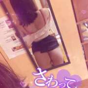 ヒメ日記 2025/07/15 11:44 投稿 ありす 妖精（ようせい）